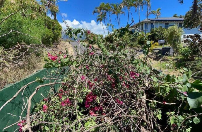 Property Clean Outs-Palm Springs Junk Removal and Trash Haulers